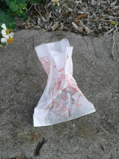 外觀像是裝鹽酥雞的紙袋，被丟在台中都會公園和鄰近的周邊地區
