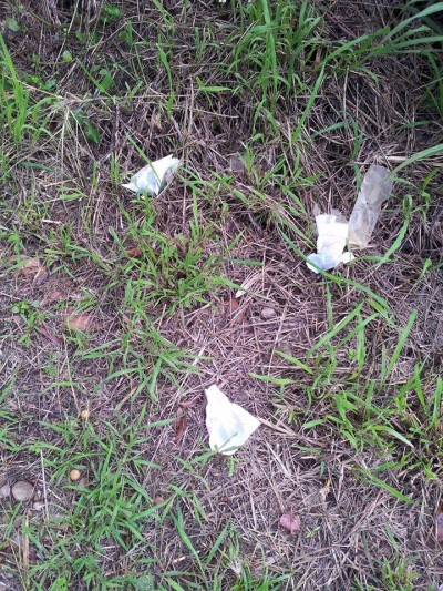最近再次發現大量裝有毒物的紙袋出現在台中都會公園周邊地區內。