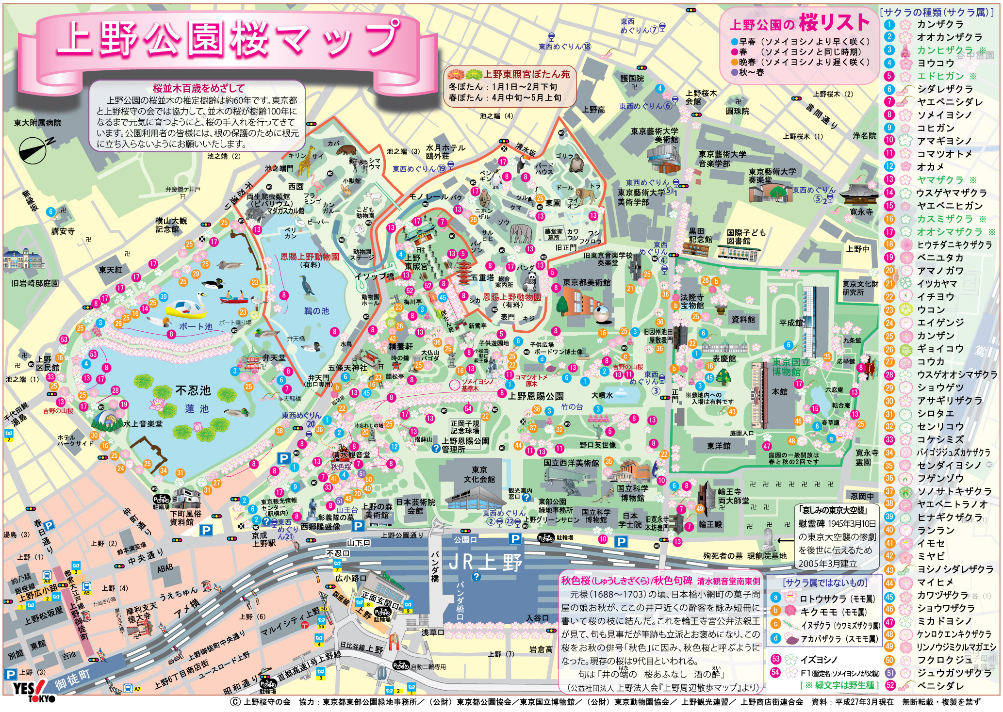 上野公園的超威版櫻花地圖 帶你免費入門 櫻 木花 道 喬維琪的奇思妙想