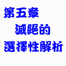 第五章