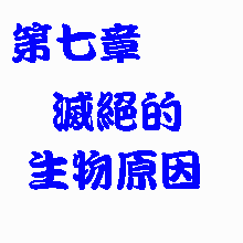 第七章