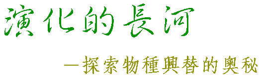 �t�ƪ����e